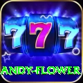 andy flower App