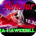 antigua hawksbill Premium Plus v4.1.5