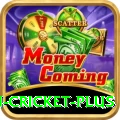 australian cricket - Casino Prime