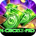 australian cricket - Slots Extreme