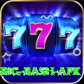 bbl big bash apk VIP Edition v4.2.5