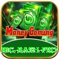 big bash Plus Casino App