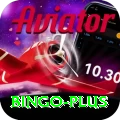 bingo Max v3.8.2
