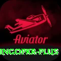 bingopkr Pro1 v4.3.1