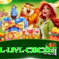 bpl live cricket Deluxe Pro v5.6.3