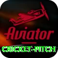 cricket pitch Master Pro v2.1.7