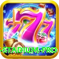 cricket stadium Deluxe New