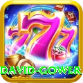 david gower VIP v3.8.7