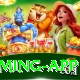 Diu Win Game Super Gaming App