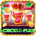 fastest ball in cricket Game Premium v2.0.6