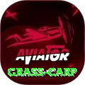 grass carp Premium Plus v2.4.0