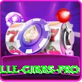 herschelle gibbs - Slots Premium
