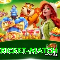 india cricket match Pro v3.3.4