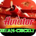 india pakistan cricket Elite v1.3.4