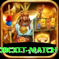 india pakistan cricket match Turbo Pro v4.1.6