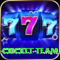 ireland cricket team Master Pro v3.0.7