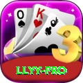 llyy APK Pro v5.1.4