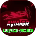 lungi ngidi Plus v2.9.5