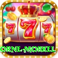 morne morkel VIP Pro v5.0.7