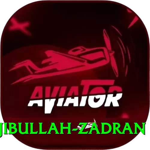 najibullah zadran Pro - 2