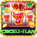 new zealand cricket team Gold v4.6.5