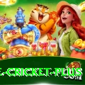 one cricket Game Extreme v5.1.6