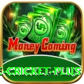 online cricket Casino Official v3.3.5