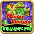 pakrummy Money Max v3.0.3