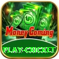 play cricket Apps (Tools & Injectors) Ultimate v1.8.7