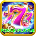 poker player VIP Pro v1.4.3