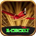 r cricket Max v2.8.6