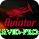 rahul dravid Pakistan Master v3.1.8