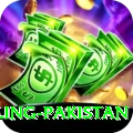 responsible gambling pakistan Plus Edition v5.3.9