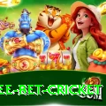 risk free bet cricket Games (Casino & Earning) Premium v1.3.7