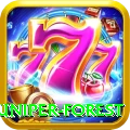 samar juniper forest Apps (Tools & Injectors) Turbo v3.1.0