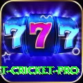 test cricket Casino Champion v3.2.0