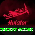 test cricket score Pro