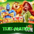 test match Ultimate v3.9.6
