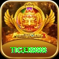 tiger888 Pro v3.3.6