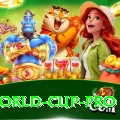 u19 world cup Slot Machine Premium