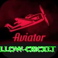 willow cricket Max Pro v5.0.2