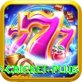willow cricket - Slots Turbo