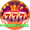 willow cricket Game Supreme v1.1.5