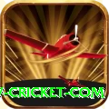 www cricket com VIP Pro v3.4.0